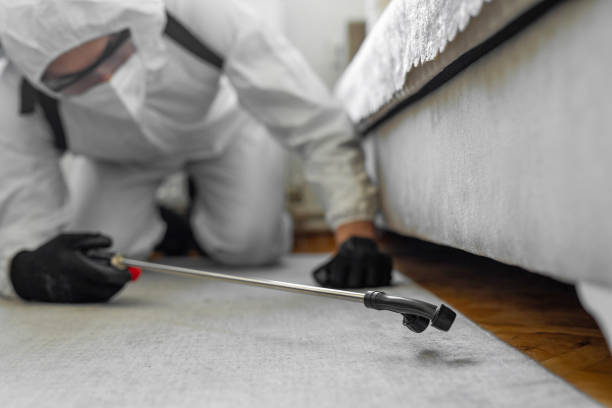 Professional Bed Bug Control technician working in Hollins, VA