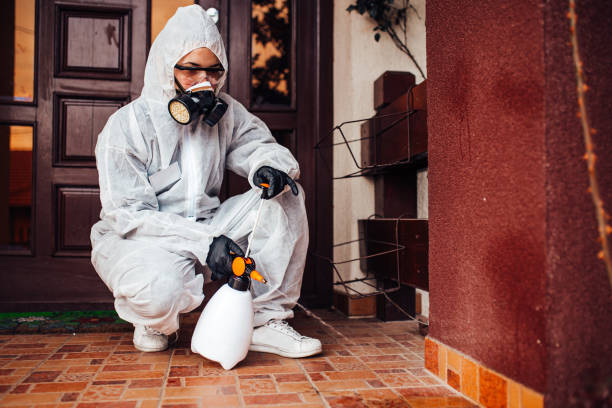Reliable Bed Bug Control contractor in Hollins, VA by Nex Pest Control