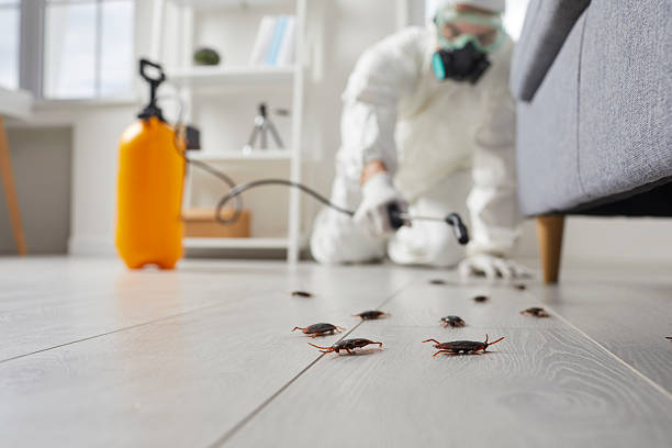 Trusted Fumigation Services service in Hollins, VA - Nex Pest Control